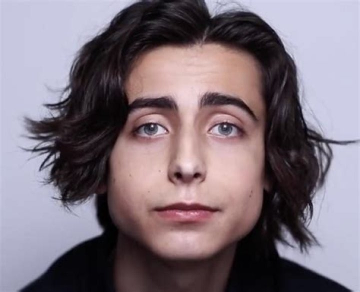 Exploring The Height Of Aidan Gallagher